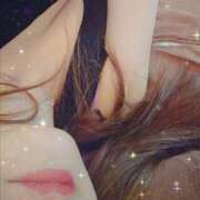 ヒメ日記 2026/04/12 16:34 投稿 りょうこ 石庭