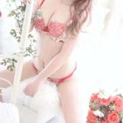 ヒメ日記 2026/04/13 18:21 投稿 りょうこ 石庭