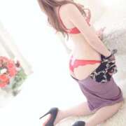 ヒメ日記 2026/04/29 12:20 投稿 りょうこ 石庭