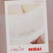 ヒメ日記 2024/12/08 08:23 投稿 みらい 石庭