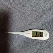 ヒメ日記 2024/12/08 08:45 投稿 みらい 石庭