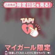 ヒメ日記 2024/12/08 09:07 投稿 みらい 石庭