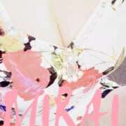 ヒメ日記 2024/12/09 08:40 投稿 みらい 石庭