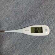 ヒメ日記 2024/12/09 08:51 投稿 みらい 石庭