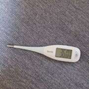 ヒメ日記 2024/12/10 08:53 投稿 みらい 石庭