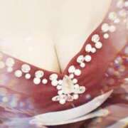 ヒメ日記 2024/12/11 10:06 投稿 みらい 石庭