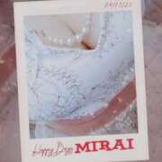 ヒメ日記 2024/12/12 08:22 投稿 みらい 石庭