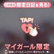 ヒメ日記 2024/12/12 09:06 投稿 みらい 石庭