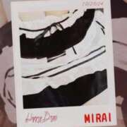 ヒメ日記 2024/12/15 08:36 投稿 みらい 石庭