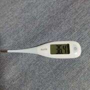 ヒメ日記 2024/12/18 08:50 投稿 みらい 石庭