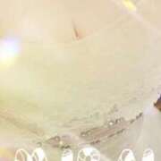 ヒメ日記 2024/12/22 10:07 投稿 みらい 石庭