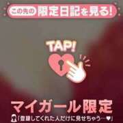 ヒメ日記 2024/12/24 09:00 投稿 みらい 石庭