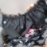 ヒメ日記 2025/01/21 08:40 投稿 みらい 石庭