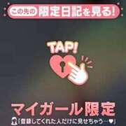 ヒメ日記 2025/02/11 09:06 投稿 みらい 石庭