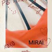 ヒメ日記 2025/02/12 08:23 投稿 みらい 石庭