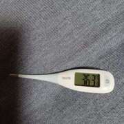 ヒメ日記 2025/02/12 08:45 投稿 みらい 石庭