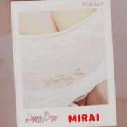 ヒメ日記 2025/02/25 08:49 投稿 みらい 石庭