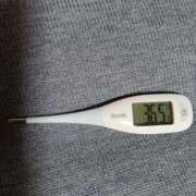 ヒメ日記 2025/03/02 09:05 投稿 みらい 石庭