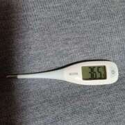 ヒメ日記 2025/03/12 09:04 投稿 みらい 石庭