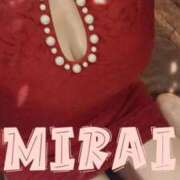 ヒメ日記 2025/03/16 08:20 投稿 みらい 石庭