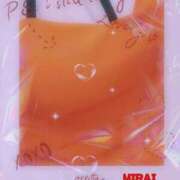 ヒメ日記 2025/03/19 11:00 投稿 みらい 石庭