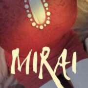 ヒメ日記 2025/03/23 08:20 投稿 みらい 石庭