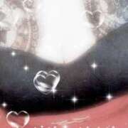 ヒメ日記 2025/03/26 08:40 投稿 みらい 石庭