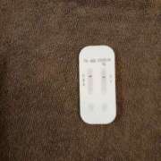 ヒメ日記 2025/03/26 10:30 投稿 みらい 石庭