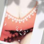 ヒメ日記 2025/03/26 11:00 投稿 みらい 石庭