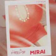 ヒメ日記 2025/03/30 11:40 投稿 みらい 石庭