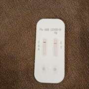 ヒメ日記 2025/04/02 10:30 投稿 みらい 石庭