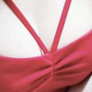 ヒメ日記 2025/04/06 10:00 投稿 みらい 石庭