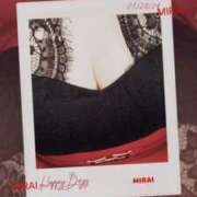 ヒメ日記 2025/04/06 11:03 投稿 みらい 石庭