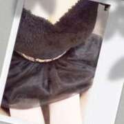 ヒメ日記 2025/04/20 08:34 投稿 みらい 石庭