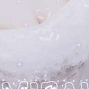 ヒメ日記 2025/04/21 08:20 投稿 みらい 石庭