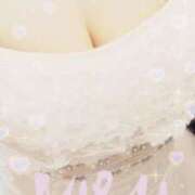 ヒメ日記 2025/05/05 10:20 投稿 みらい 石庭