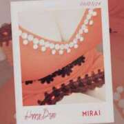 ヒメ日記 2025/05/06 11:00 投稿 みらい 石庭