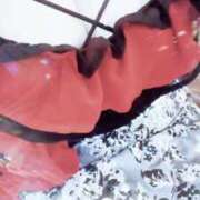 ヒメ日記 2025/05/07 08:30 投稿 みらい 石庭