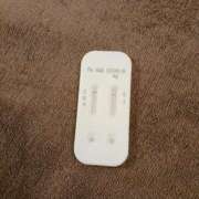 ヒメ日記 2025/05/07 10:30 投稿 みらい 石庭