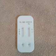 ヒメ日記 2025/05/12 10:30 投稿 みらい 石庭