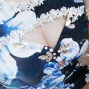 ヒメ日記 2025/05/13 10:11 投稿 みらい 石庭