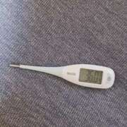 ヒメ日記 2025/05/19 09:01 投稿 みらい 石庭