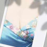 ヒメ日記 2025/05/20 08:20 投稿 みらい 石庭