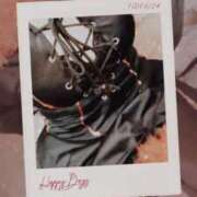 ヒメ日記 2025/05/21 11:00 投稿 みらい 石庭