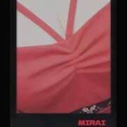 ヒメ日記 2025/05/27 08:20 投稿 みらい 石庭