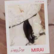 ヒメ日記 2025/06/02 11:30 投稿 みらい 石庭