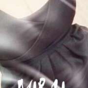 ヒメ日記 2025/06/04 08:40 投稿 みらい 石庭