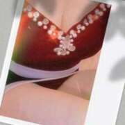 ヒメ日記 2025/06/04 11:40 投稿 みらい 石庭