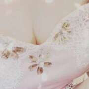 ヒメ日記 2025/06/16 15:40 投稿 みらい 石庭