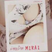 ヒメ日記 2025/06/23 08:35 投稿 みらい 石庭